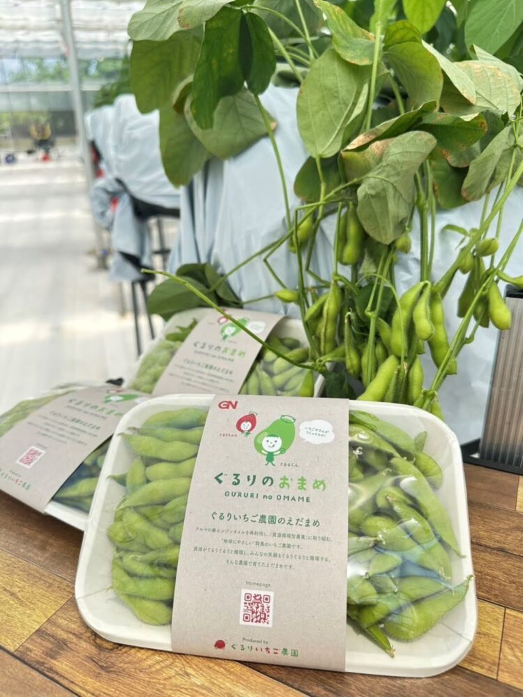 ぐるりのおまめ