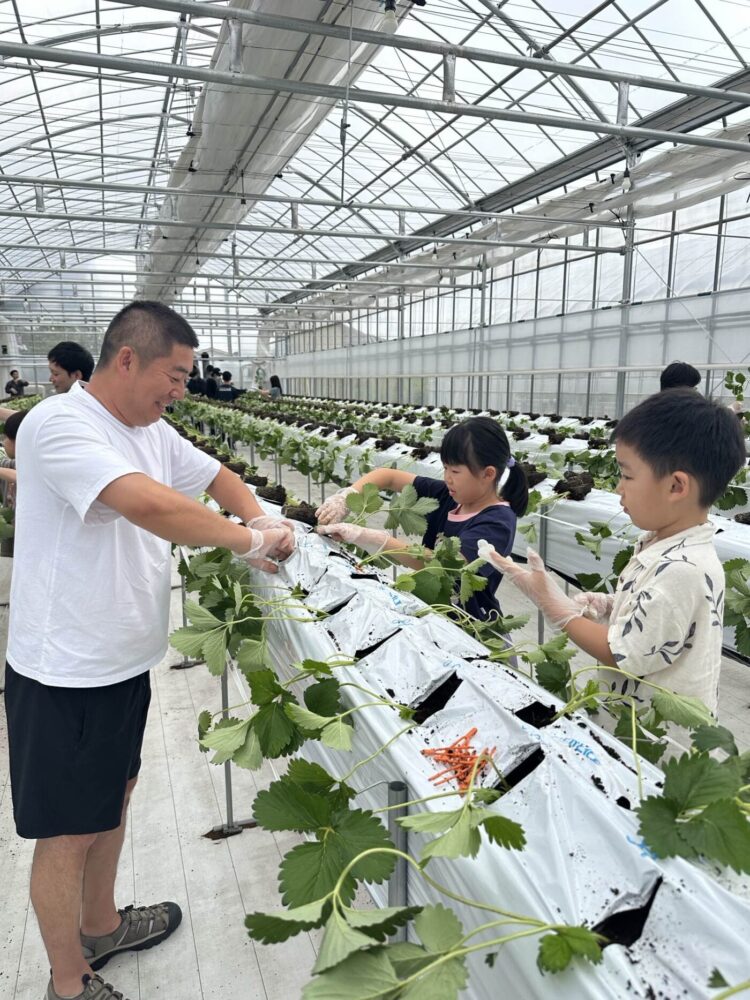 2025年定植イベント