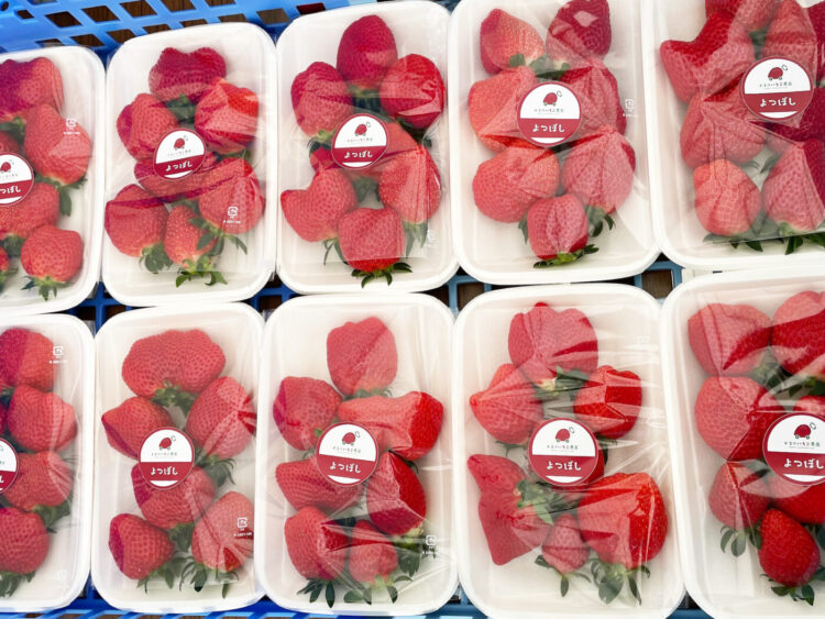 スーパー用パック