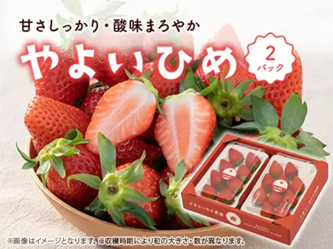 やよいひめ_2パック