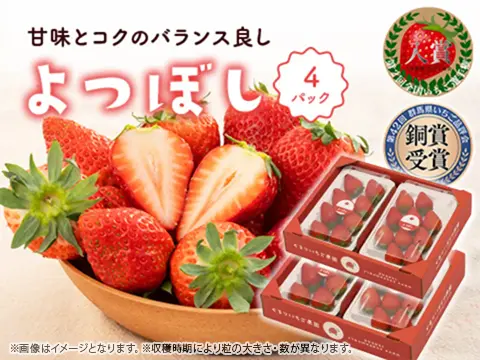 よつぼし_4パック