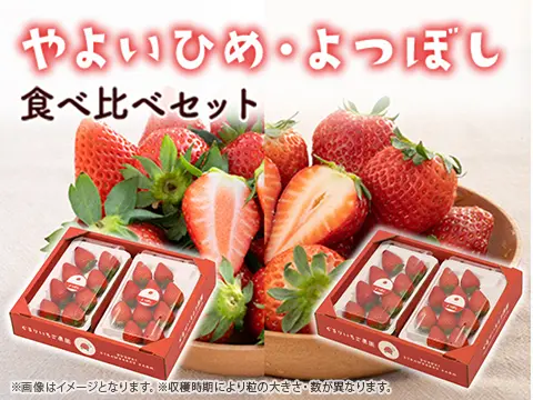 食べ比べ_4パック